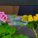 Holiday home Homes Pozitiva