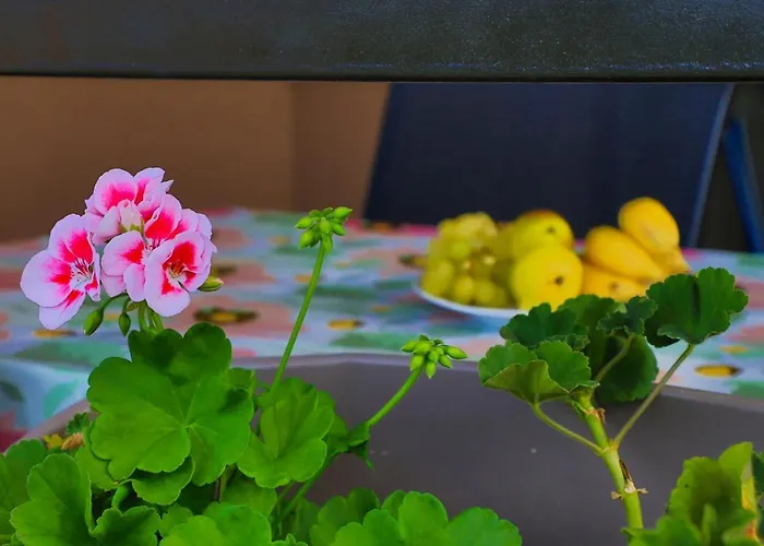 Holiday home Homes Pozitiva